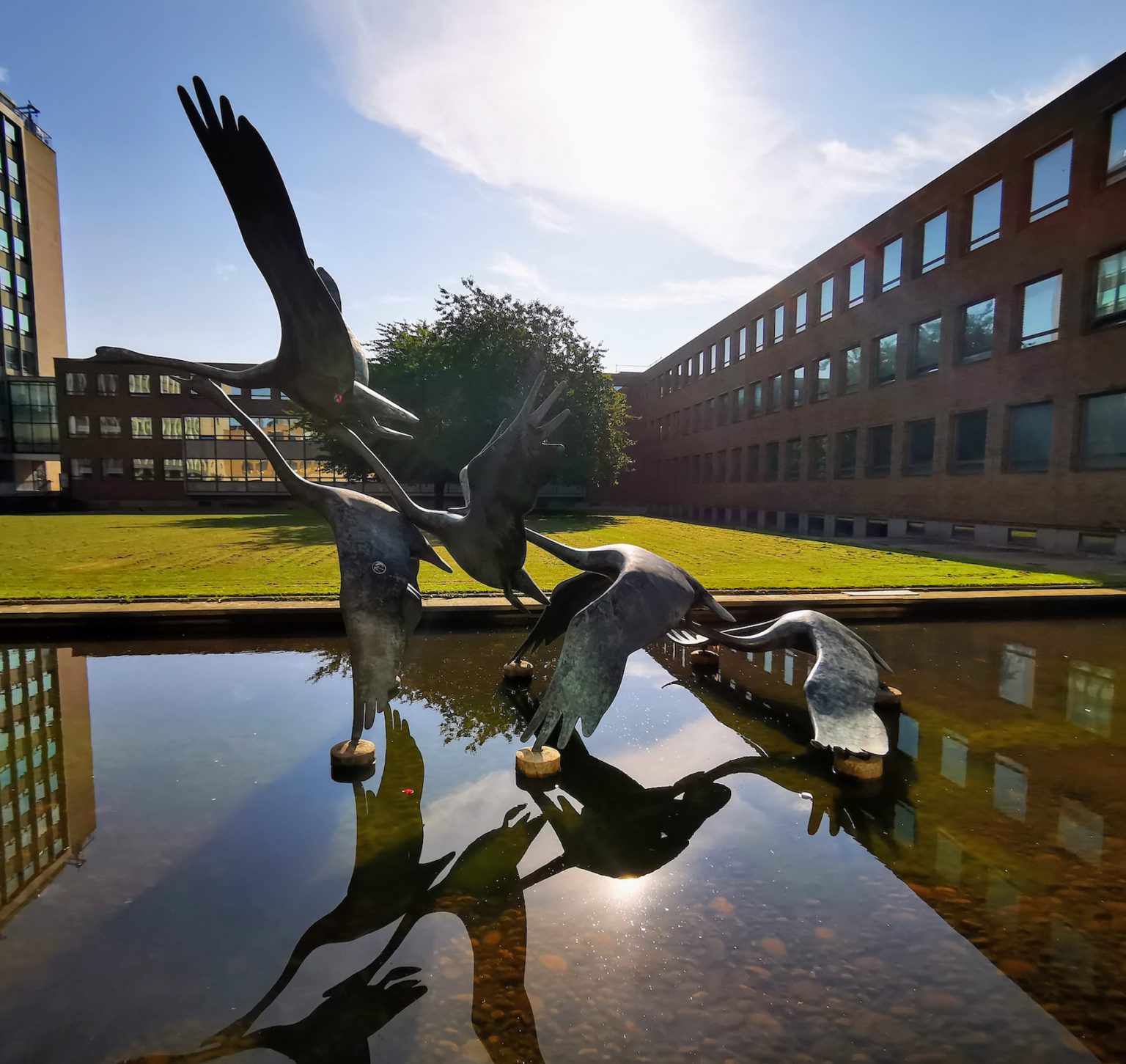 Royal Doulton Tiles at the RVI (1904) Art in Newcastle Upon Tyne